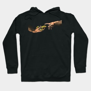 Creation of a Red Eye Frog Hoodie